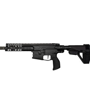 AR-style rifle shown horizontally with a free-floating rail and adjustable stock on a white background