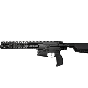 Black AR-style semi-automatic rifle with a Picatinny rail and adjustable stock shown from the side.