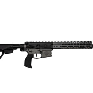 Black semi-automatic rifle with a quad-rail handguard and collapsible stock, shown in profile on white background.